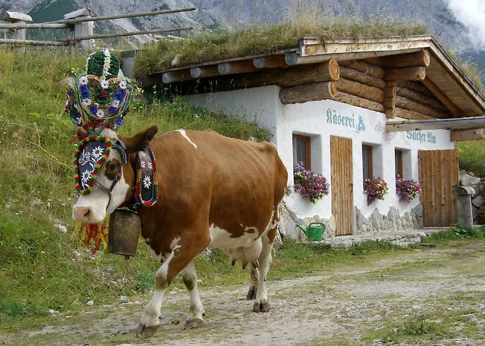 Walcherhof Ramsau am Dachstein